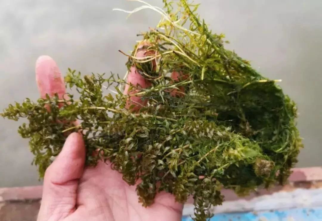 0c361b1e6b08017fabda4d8bf547e573.jpg 0c361b1e6b08017fabda4d8bf547e573.jpg