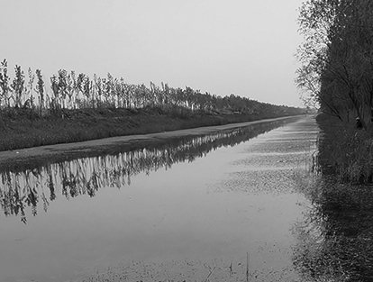 豐縣豐縣歡口鎮(zhèn)歡北大溝