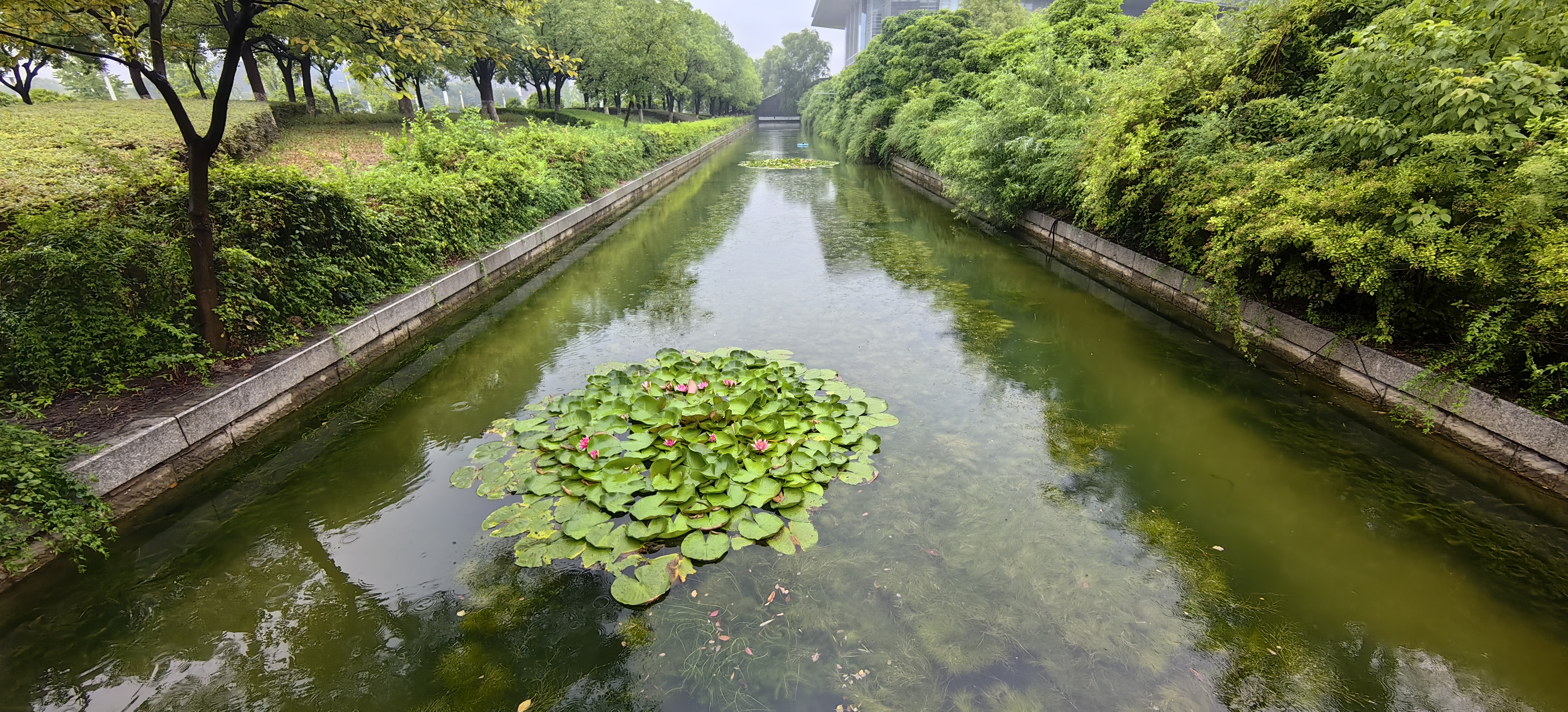 徐州市政府護城河水質(zhì)維護工程