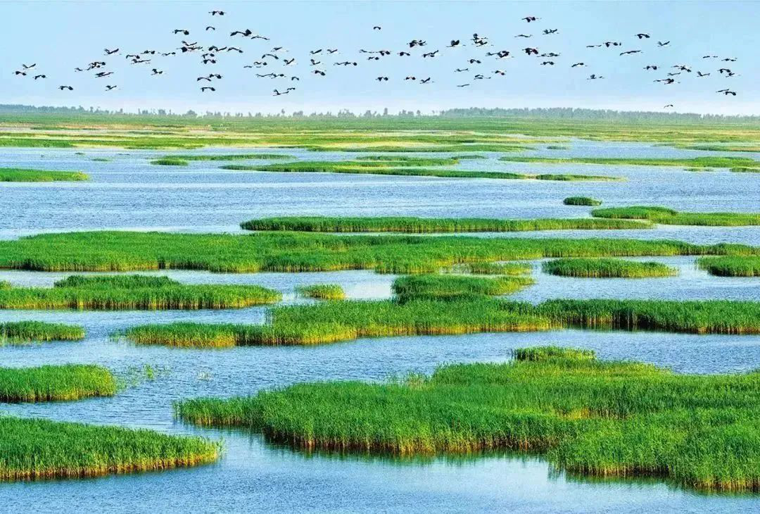 上傳1.png 上傳1.png