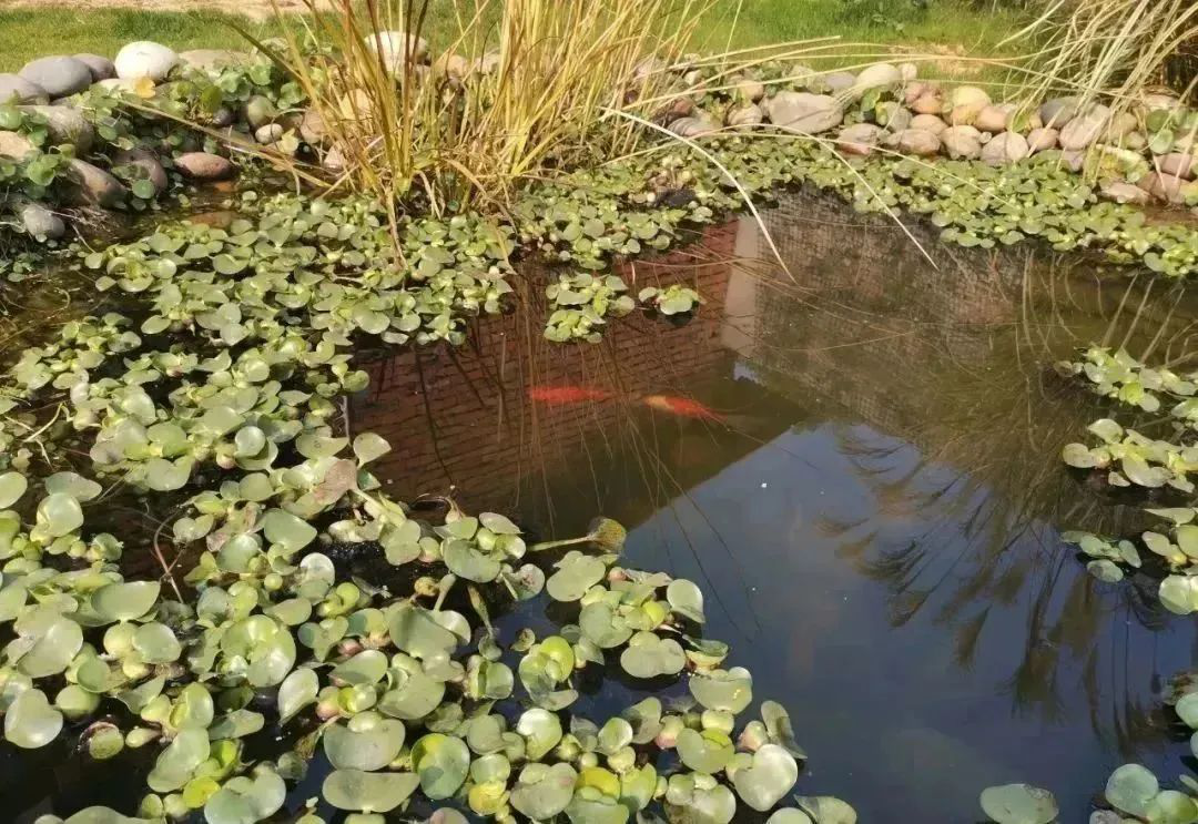 上傳2.png 上傳2.png