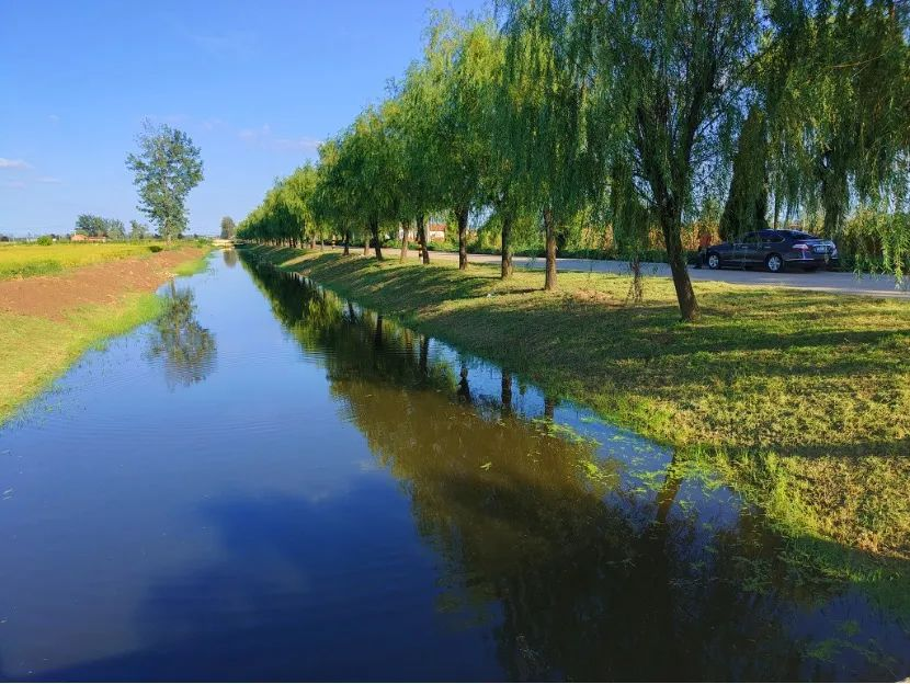 上傳圖片4.png 上傳圖片4.png