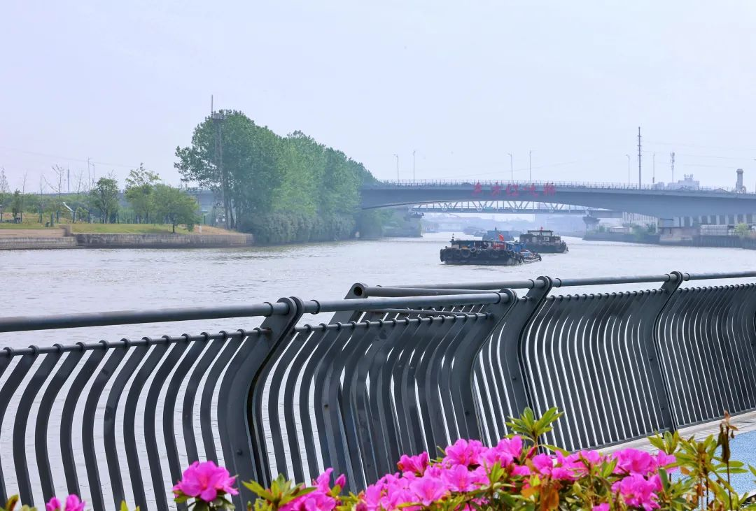 上傳圖片2.png 上傳圖片2.png