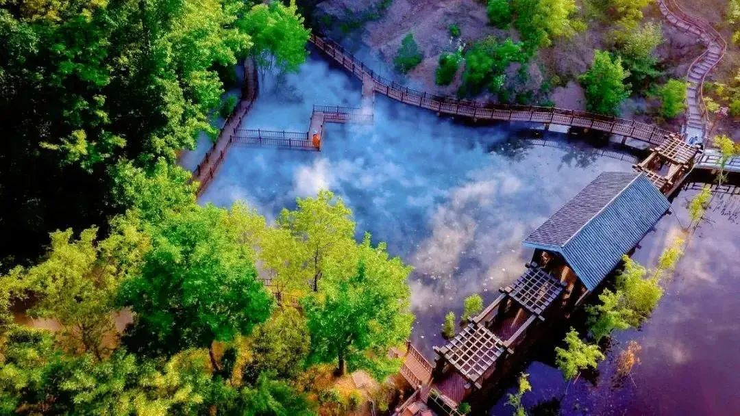 上傳圖片1.png 上傳圖片1.png